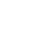 Kleintierorthopädie Wiesbaden logo