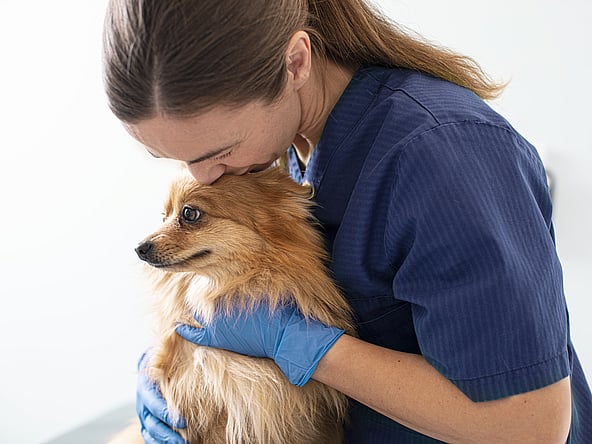 Eine Person in blauen Kitteln, die einen Hund küsst.