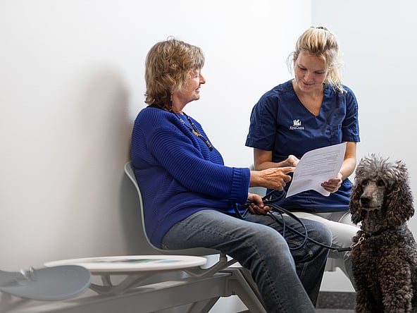 Eine Person und ein Hund, die auf einem Stuhl sitzen.