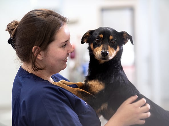 A person holding a dog.