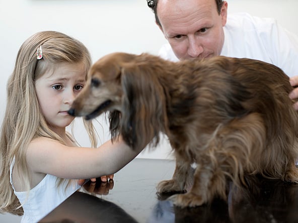 Ein Kind und ein Hund.