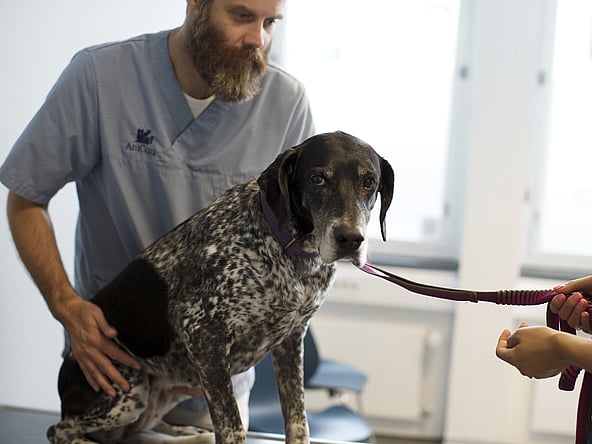 Eine Person in Kitteln, die einen Hund an der Leine hält.