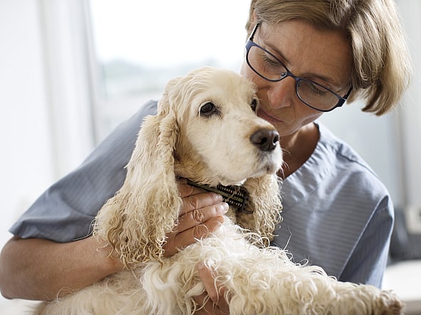 A person holding a dog.