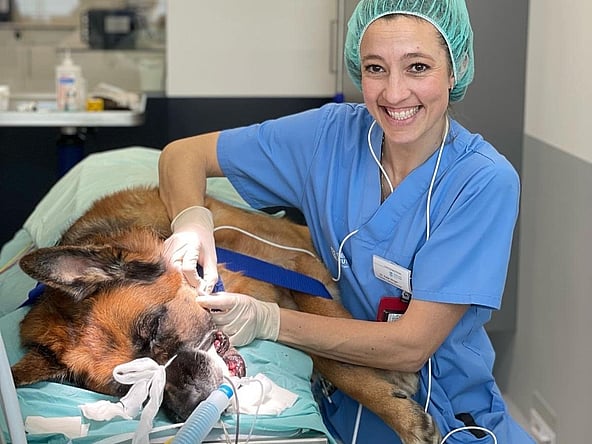 Eine Person in Kitteln, die einen Hund hält.