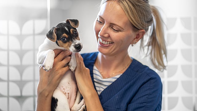 A person holding a dog.