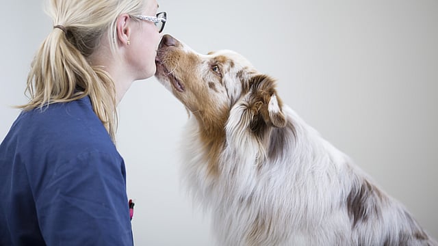 Eine Frau, die einen Hund küsst.