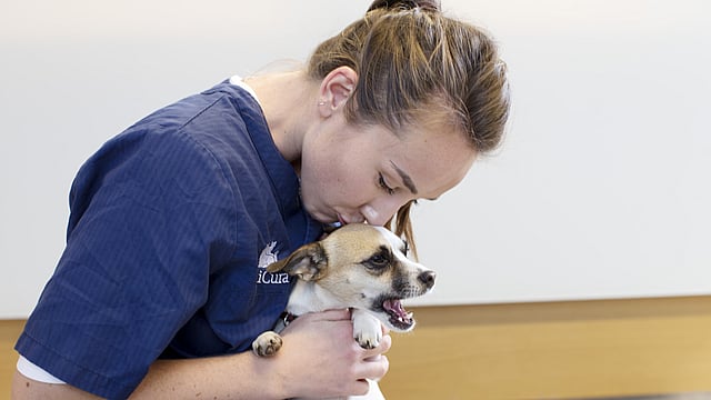 Eine Tierärztin kniet auf dem Boden und hält vor sich einen kleinen Hund. Sie beugt sich runter und gibt ihm einen Kuss auf den Kopf.