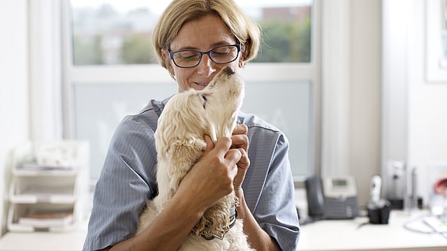 Eine Tierärztin krault einen Labrador, der sich hoch zu ihrem Gesicht beugt.