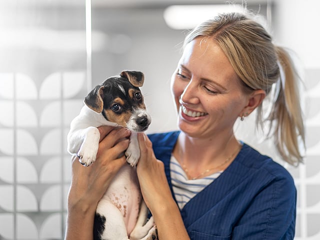A person holding a dog.
