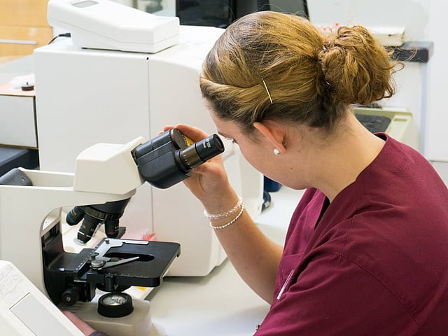 Eine Tierpflegerin schaut sich durch ein Mikroskop eine Probe an.