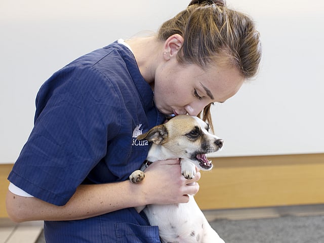Eine Tierärztin kniet auf dem Boden und hält vor sich einen kleinen Hund. Sie beugt sich runter und gibt ihm einen Kuss auf den Kopf.