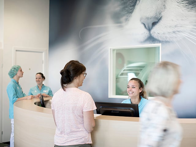 An der Rezeption herrscht reger Betrieb. Eine Kundin wird bedient, viele Tierärzte laufen durch die Praxis.