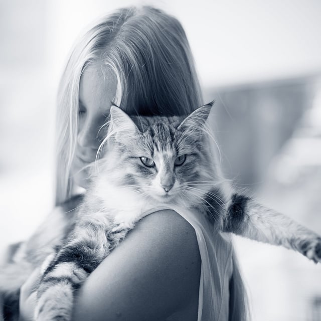 Eine Person, die eine Katze hält.