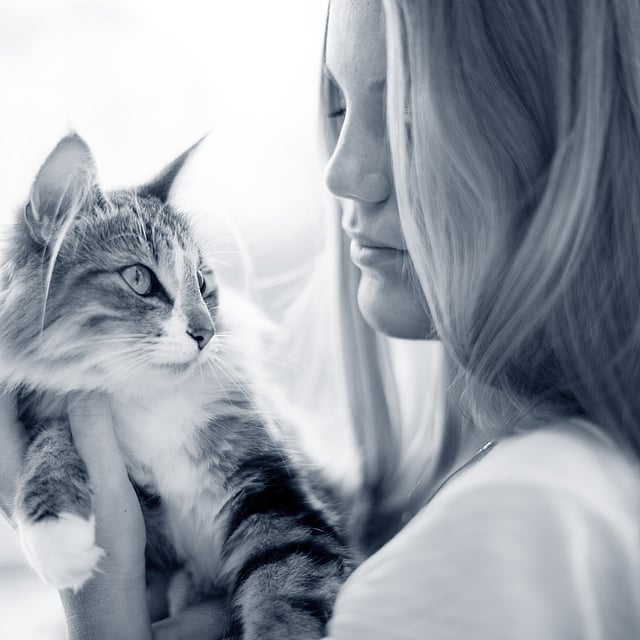 Eine Person, die eine Katze hält.