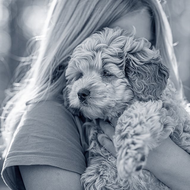 A person holding a dog.