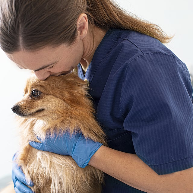 Eine Person in blauen Kitteln, die einen Hund küsst.