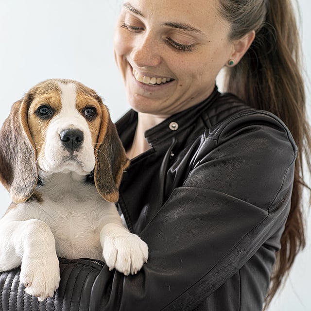 A person holding a dog.