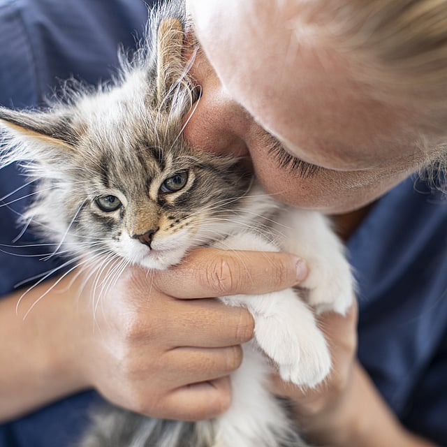 Eine Person, die eine Katze hält.