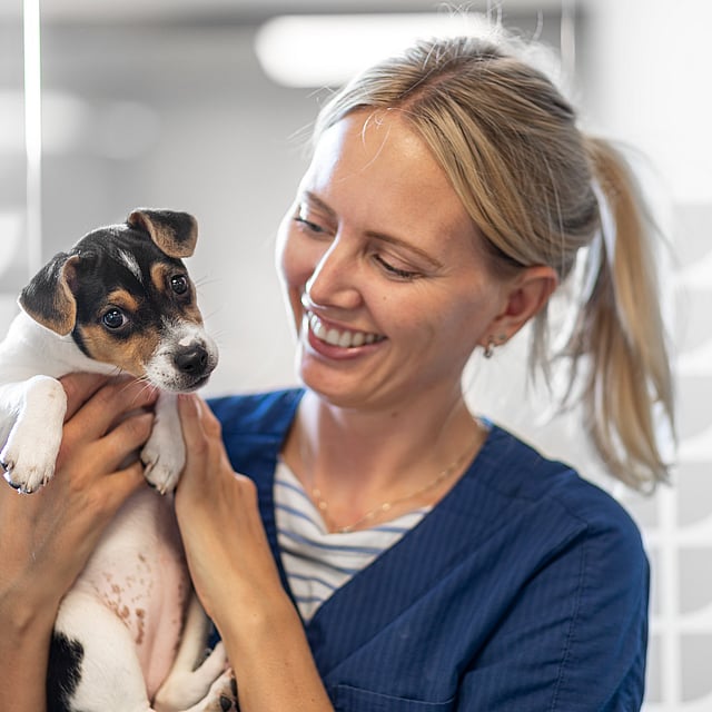 A person holding a dog.