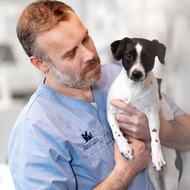 A person holding a dog.