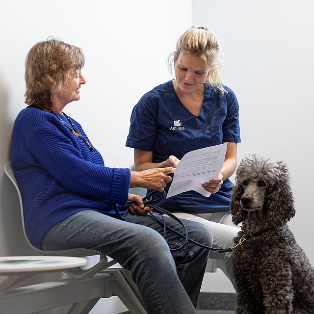 Eine Person und ein Hund, die auf einem Stuhl sitzen.