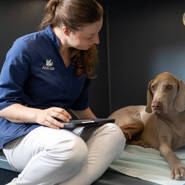 Eine Person, die mit einem Hund auf einem Bett sitzt.