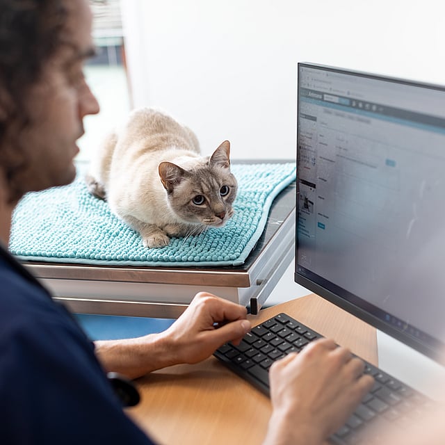 Eine Person, die an einem Computer sitzt.