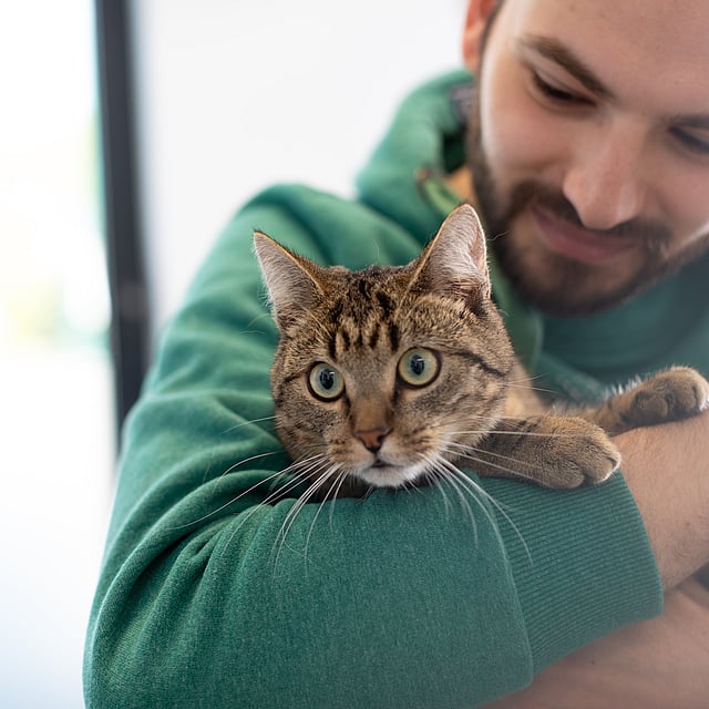 Eine Person, die eine Katze hält.
