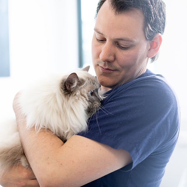 Eine Person, die eine Katze hält.
