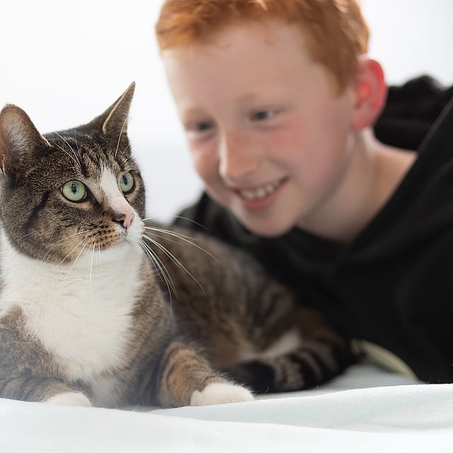 Ein Kind und eine Katze.