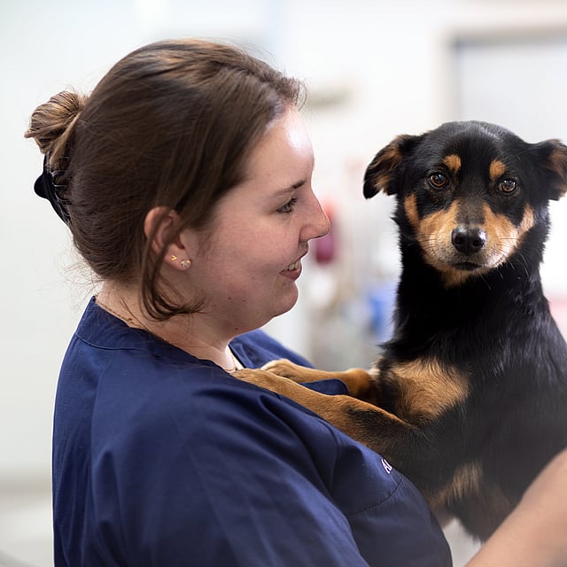 A person holding a dog.