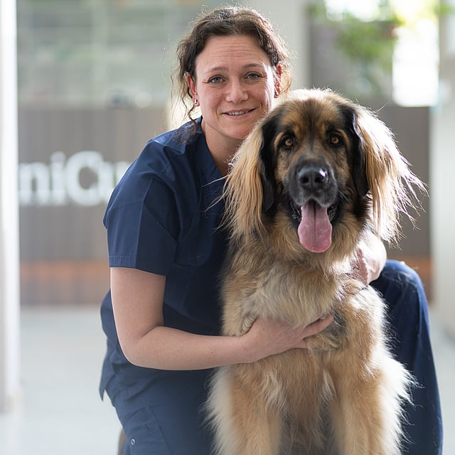 A person holding a dog.