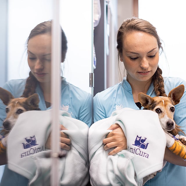 Eine Person, die einen Hund auf dem Arm hält.