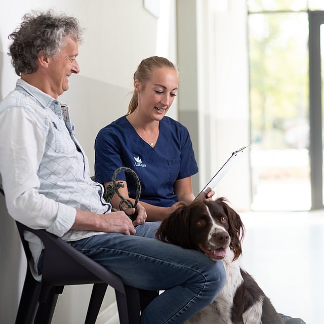 Eine Person und eine Person, die mit einem Hund auf einem Stuhl sitzt.