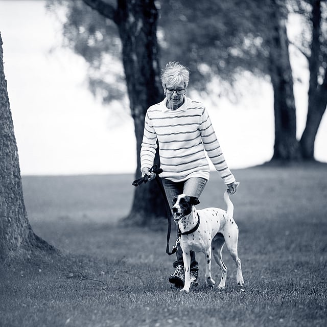 Frau spaziert mit ihrem Hund an einem See