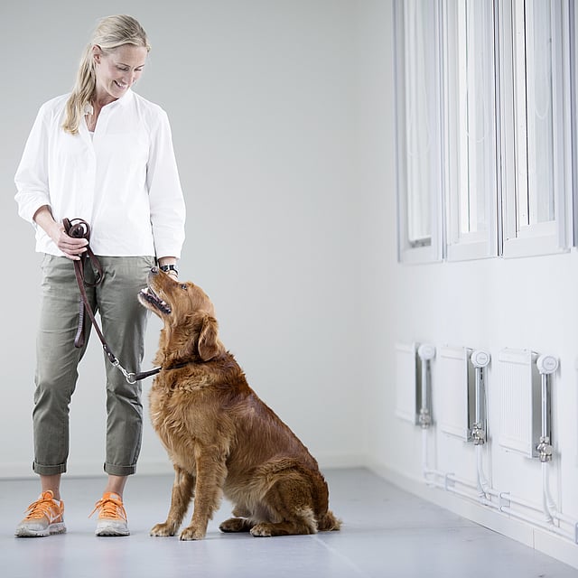 Eine Person, die neben einem Hund steht.