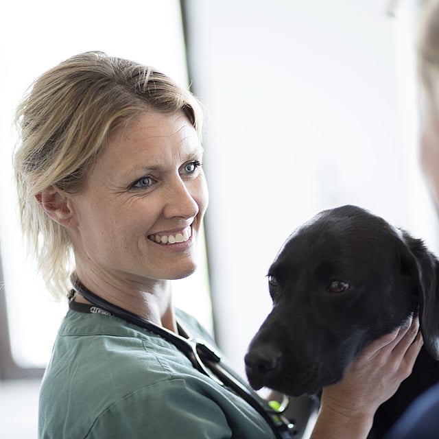 A person holding a dog.