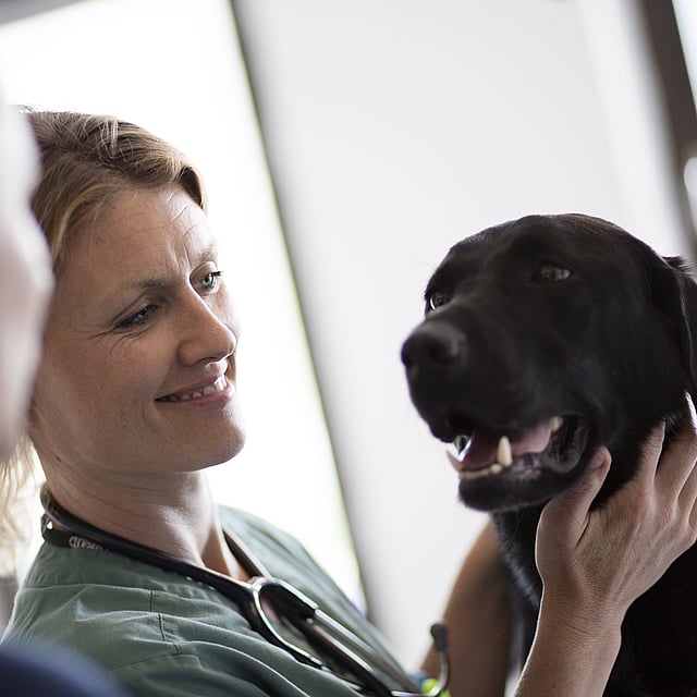 A person holding a dog.