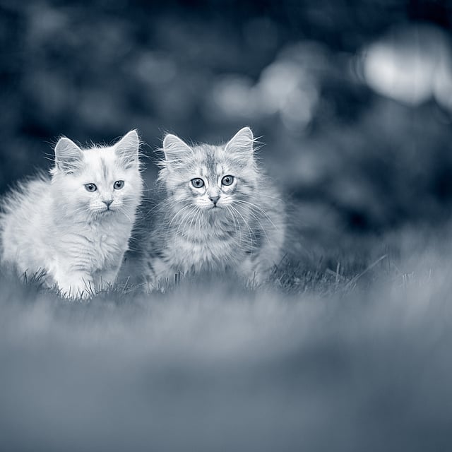 Eine Person und eine Person, die ein Stück Knochen hält.