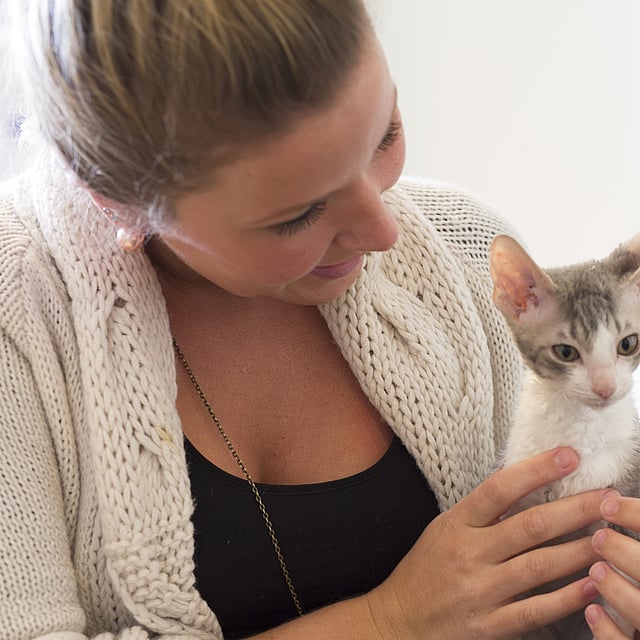 A person holding a kitten.