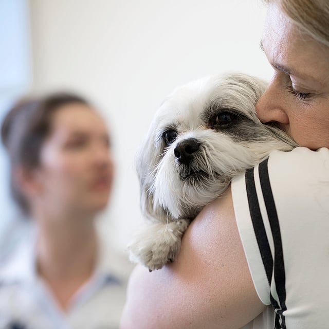 A person holding a dog.