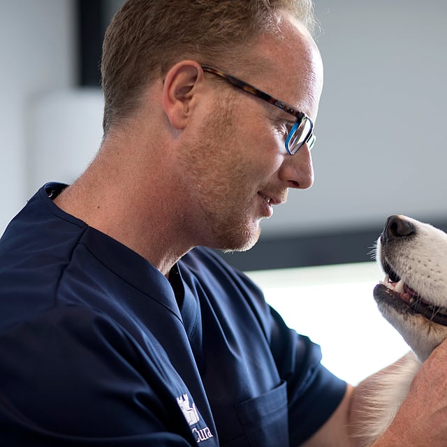 A person holding a dog.
