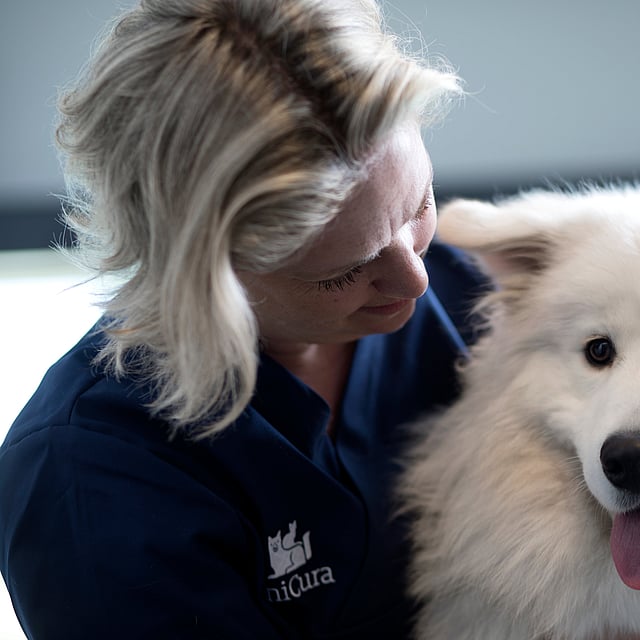 A person holding a dog.