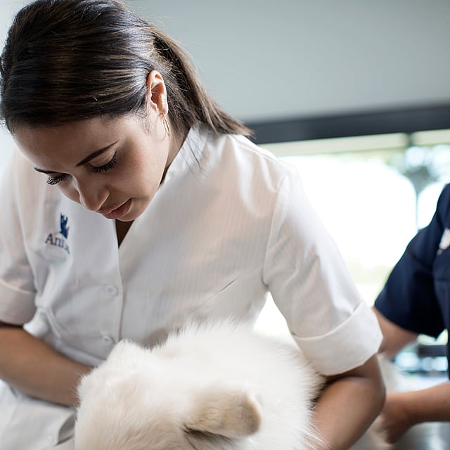 A person holding a dog.