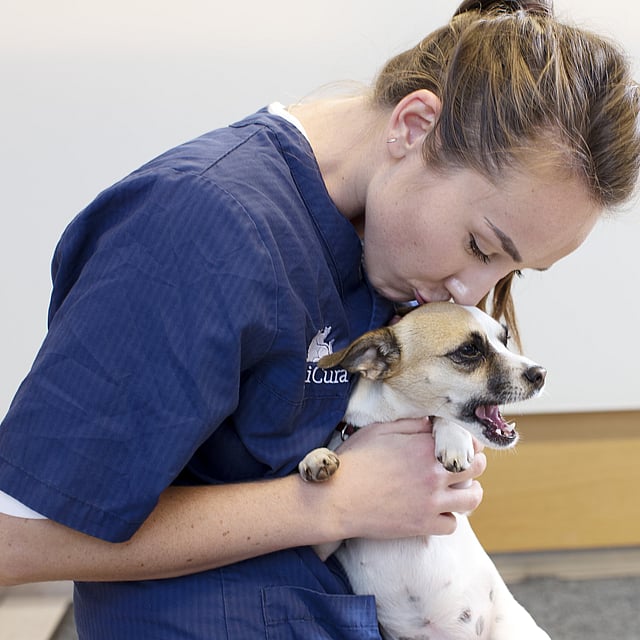 Eine Person, die einen Hund küsst.