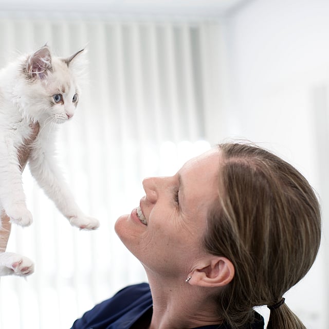 Eine Person, die eine Katze hält.