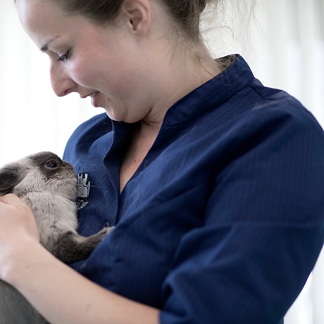 Eine Person, die ein Kaninchen hält.