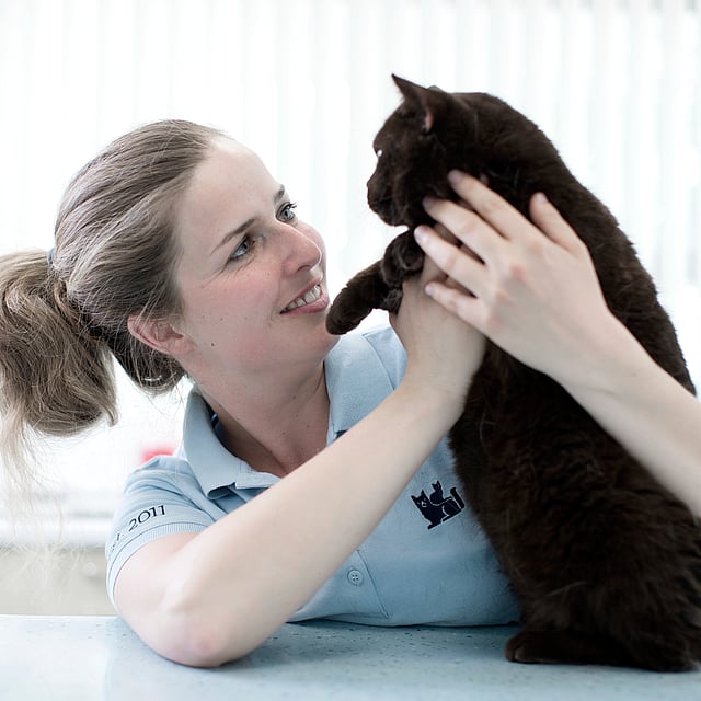 Eine Person, die eine Katze hält.
