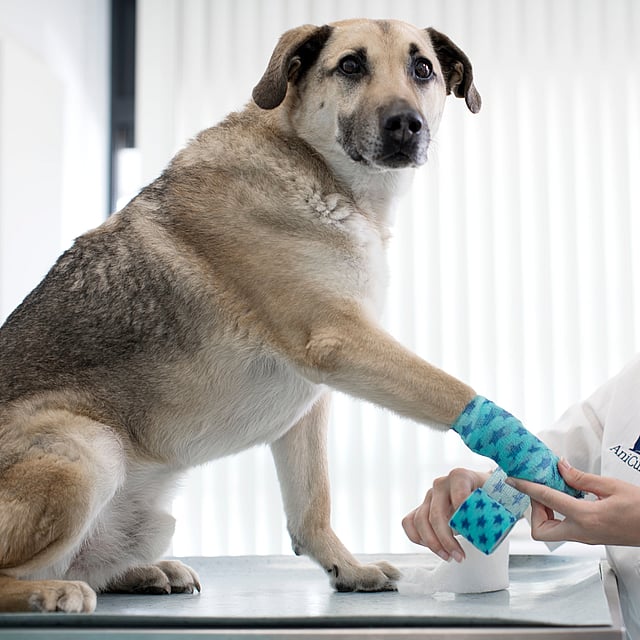 Eine Person mit einem Verband am Bein.