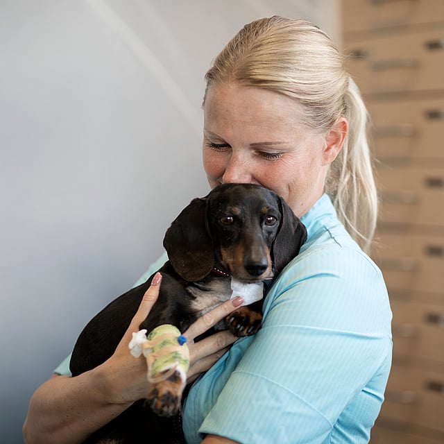 A person holding a dog.